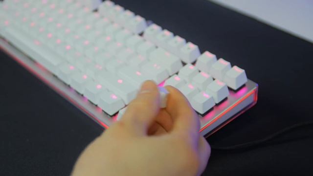 Are Cheap Mechanical Keyboards Worth it? Rapoo V500 RGB Review. (Closed) смотреть онлайн