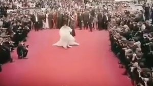 Айшвария Рай