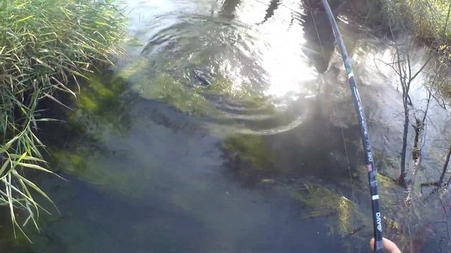 Ловля радужной форели .Терпение вознаграждается .Рыбалка смотреть онлайн
