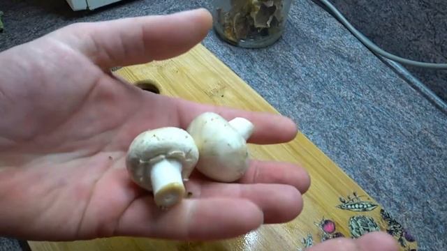 ЧЕМ НЕЛЬ3Я КОРМИТЬ СОБАКУ? ЭТИ ПРОДУКТЫ НА ВАШЕМ СТОЛЕ!. Яд для собак смотреть онлайн