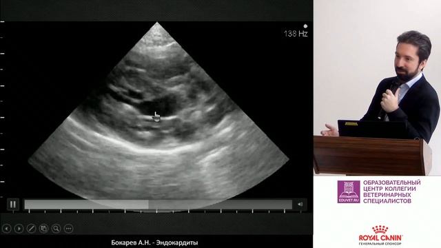 Бокарев А. Н. - Эндокардиты у собак и кошек смотреть онлайн