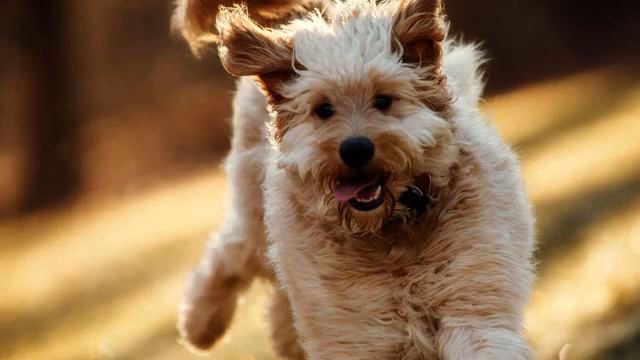 Канал новых русских песен для души онлайн смотреть онлайн