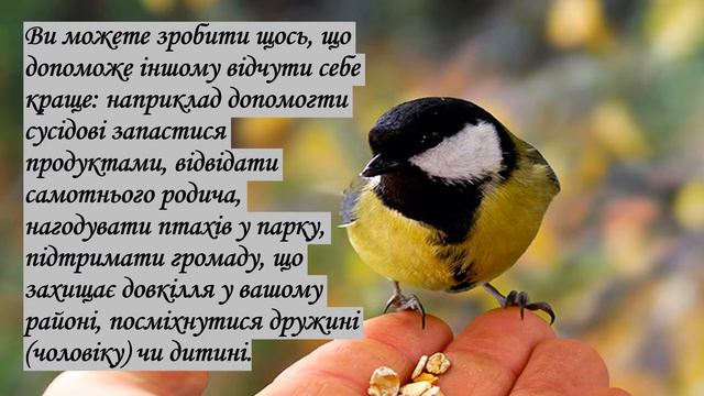 День спонтанного прояву доброти смотреть онлайн