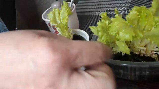 Вырастила пышный салат на подоконнике за 1 неделю! Свежие витамины круглый год! смотреть онлайн