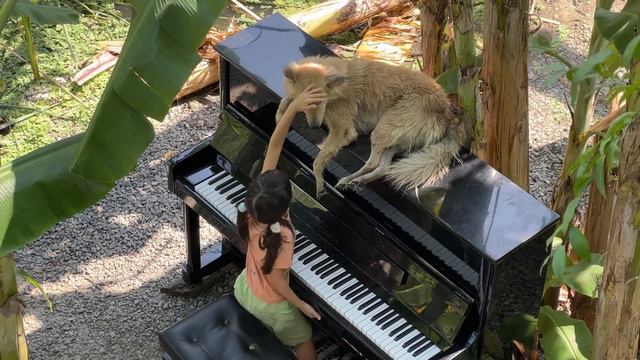 Emilie Plays "LA57 (x4) by Alessandra Celletti with Sharky the Dog смотреть онлайн