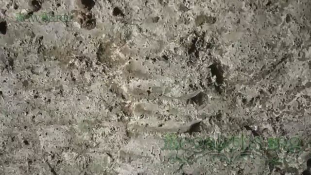 The Excavator Machines of Ancient Etruria - part 1 of the 2018 Italy Expedition смотреть онлайн