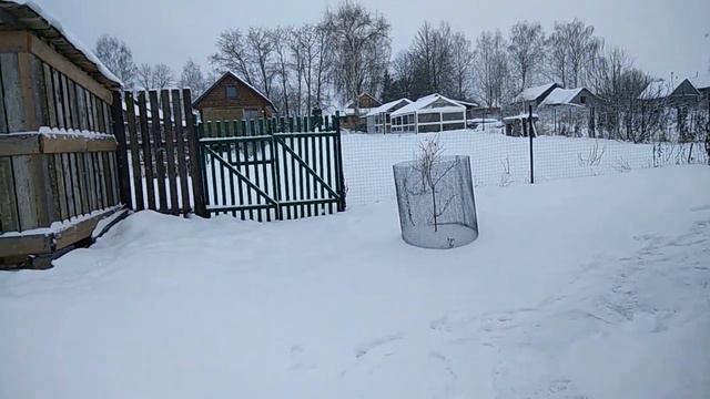 Прекрасные завершающие дни декабря 2021 года! Всех с наступающим Новым годом! смотреть онлайн