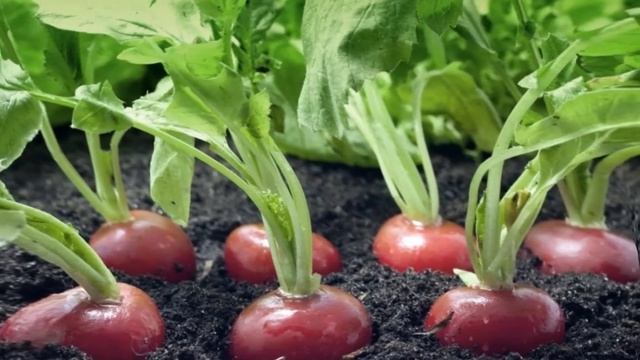 Строительные Вдохновения