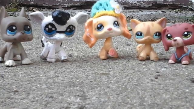 LPS Dares Esp 3: Princess Erica?!?! смотреть онлайн