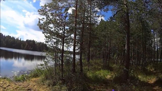 Лесные озера Селигера. Большое и Малое Лачино. смотреть онлайн