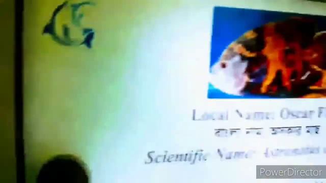 Vlog 37 | Eid Special Vlog 2021 | Radiant Fish World | Cox's Bazar | Khalid Sir смотреть онлайн