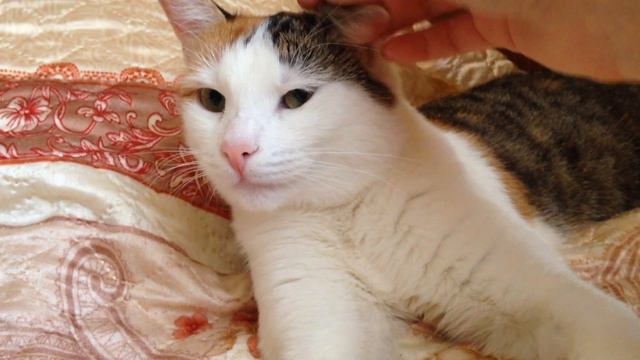 Влог: Почему не сплю ночами, ДОМОГАТЕЛЬСТВА в метро, РОКЕТБАНК!