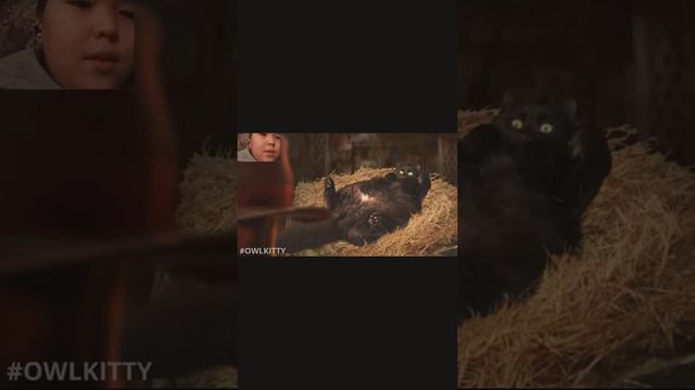 Рякция не засмейся челендж. (забыл включить звук😭) поствь лайк! смотреть онлайн