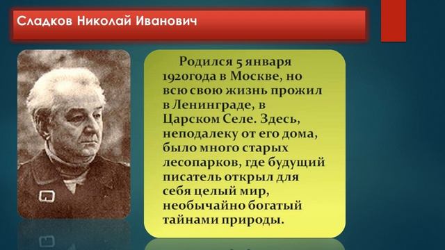 А. Барто "Жук"; Н. Сладков "На одном бревне" смотреть онлайн
