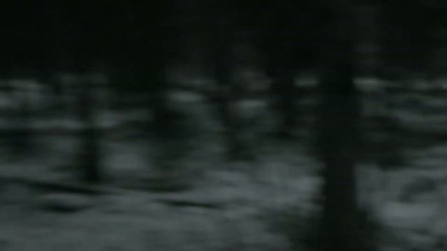 River Man - Nick Drake (Music Video)