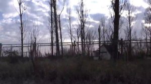 Ейск Должанка станица Должанская. Пляжи Ейска. Курорты краснодарского края