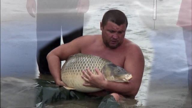 Весенняя ловля хищника на нижней Волге смотреть онлайн