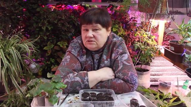 РАДОСТЬ -ТО КАКАЯ! смотреть онлайн