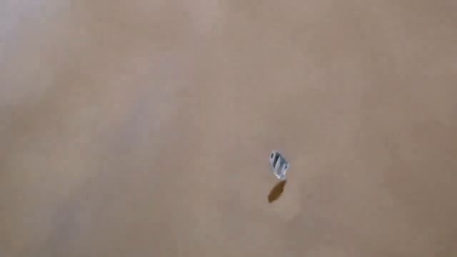 Новинка в мире моторных лодок. Моторные лодки Swimmer. смотреть онлайн