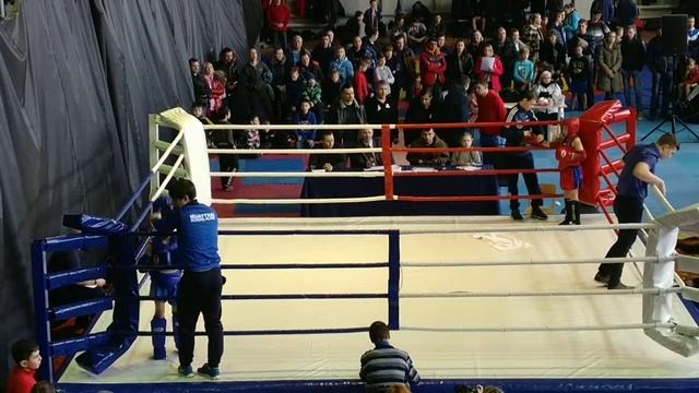 Бой Соловьева Романа и Шибаева Никиты смотреть онлайн