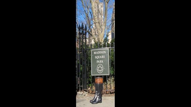 TREMP IN MADISON SQUARE GARDEN смотреть онлайн