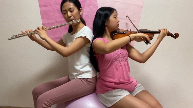 Telemann Sonata for Flute and Violin, TWV 40:111, 4th movement смотреть онлайн
