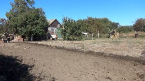 Вспашка огорода минитрактором. Пашу одним корпусом