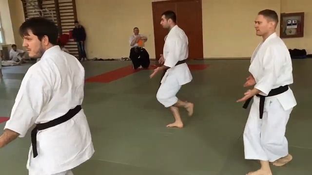 Campionatul RM 2015 karate-do traditional kata смотреть онлайн