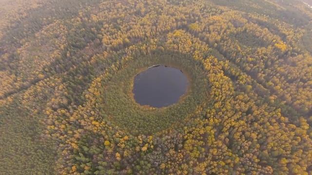 "Спасем природу от М-12!" смотреть онлайн