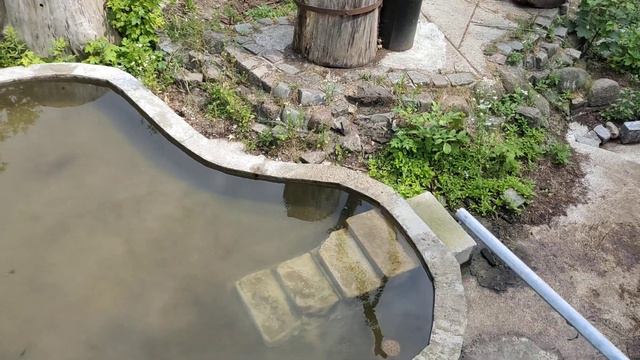 зоопарк Калининграда(2) смотреть онлайн