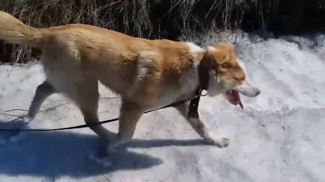 Бэтти смотреть онлайн