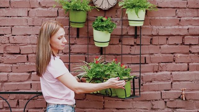 Шпалеры для вьющихся растений ? Садовый декор ?  Хитсад