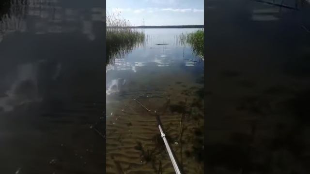 Рыбалка, просто маленький или большой лещ смотреть онлайн