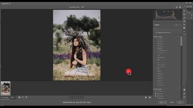 How To Convert DNG Mobile Preset To XMP In Photoshop - Dng to Camera RAW Preset - DNG To ACR JPG смотреть онлайн