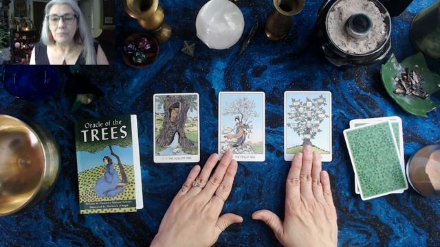 Oracle of the Trees Unboxing and Test Drive смотреть онлайн