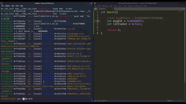 Endianness Explained. Little-Endian and Big-Endian for 32 and 64 bits - Binary Exploitation PWN101 смотреть онлайн