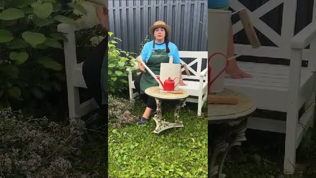 ЧЕМ ПОДКОРМИТЬ РАСТЕНИЯ ВО ВТОРОЙ ПОЛОВИНЕ ЛЕТА смотреть онлайн