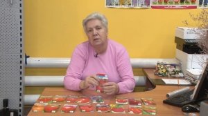 Голова садовая - Куда и какие томаты посадить