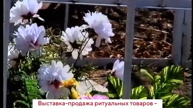 Распродажа надгробий к Родительскому дню. Как чтили усопших в конце 90-х смотреть онлайн