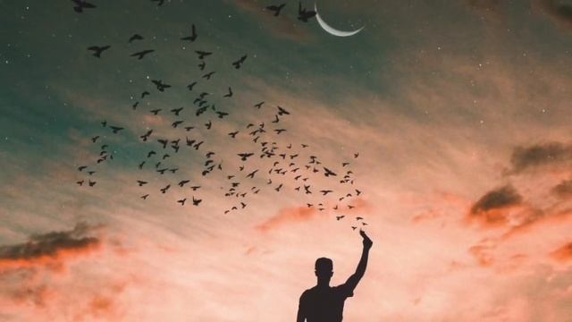 В НЕБЕ ЖУРАВЛИ.?Автор и исполнитель Сергей Чекалин. смотреть онлайн