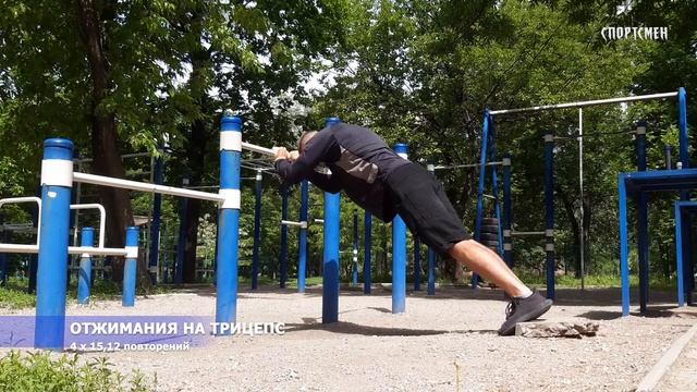 ТРЕНИРОВКА ГРУДИ И ТРИЦЕПСА на турнике и брусьях. ДЕНЬ52!!! смотреть онлайн