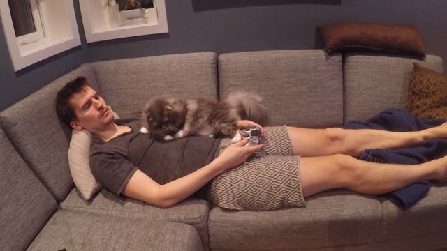 Cat (still) won't let me play Video Games alone смотреть онлайн