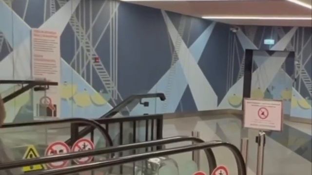 Комик Александр Гудков вернулся в РФ. Его заметили в московском аэропорту Шереметьево. смотреть онлайн