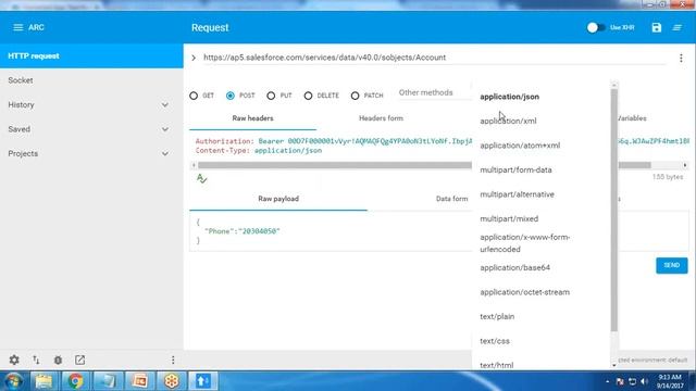 Salesforce Rest API Integration Advance Rest API Client Google Chrome Part II смотреть онлайн
