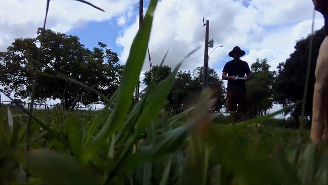 IMAGENS DRONE FIMI A3 #aricobenamata #nature #dji #fimi смотреть онлайн