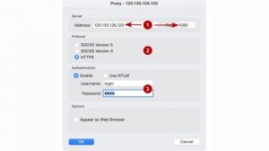 Настройка прокси в Proxifier на MacOS