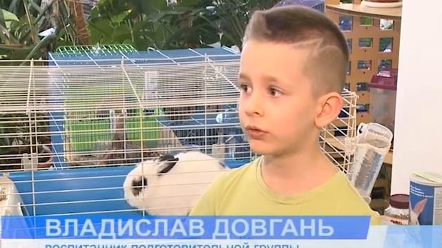 «Образовательная паутина Лабытнанги Плюс». смотреть онлайн