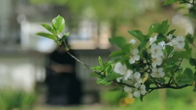 Беседа со священником о жизни после смерти смотреть онлайн