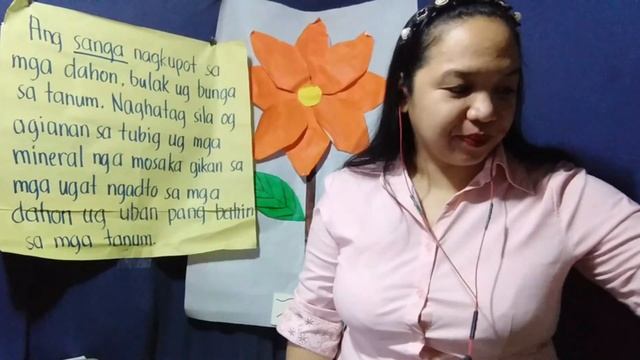 Science Grade 3 Demo Lesson in Mother Tongue (Cebuano) - MTB MLE смотреть онлайн