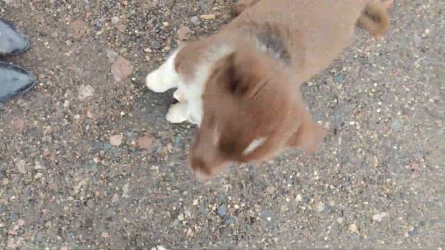 Больно мне больно... смотреть онлайн